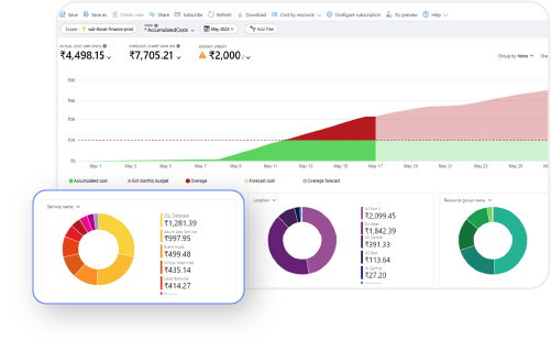 Individual Feature Costs